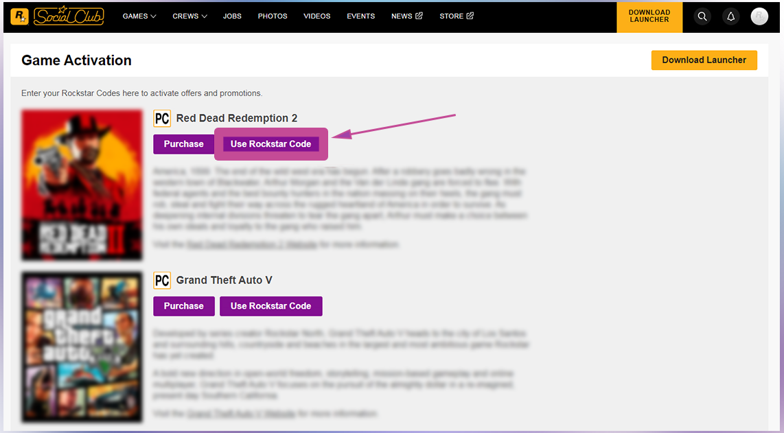 Rockstar website activation. Step 3