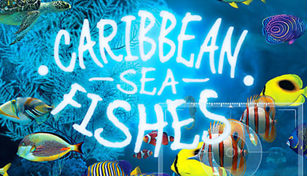 Caribbean Sea Fishes