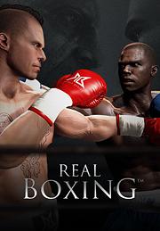 Real Boxing