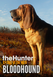 TheHunter: Call Of The Wild™ - Bloodhound