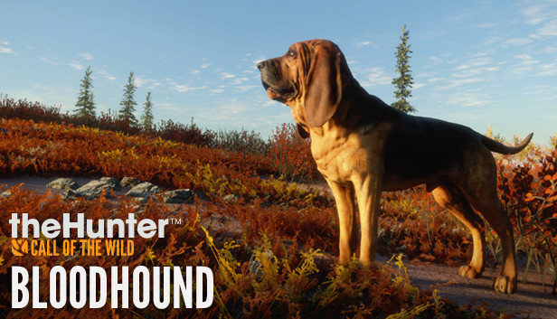 theHunter: Call of the Wild™ - Bloodhound