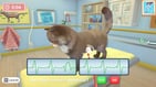 My Universe : Pet Clinic cats & dogs